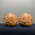 Pumpkin Wenwan Walnut · 40mm · Natural · Select Ritual