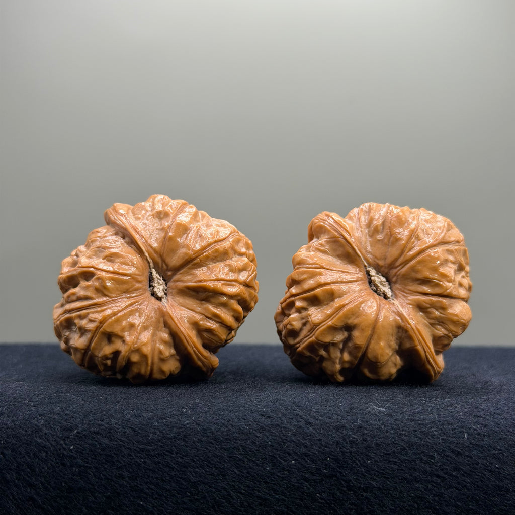 Pumpkin Wenwan Walnut · 40mm · Natural · Select Ritual