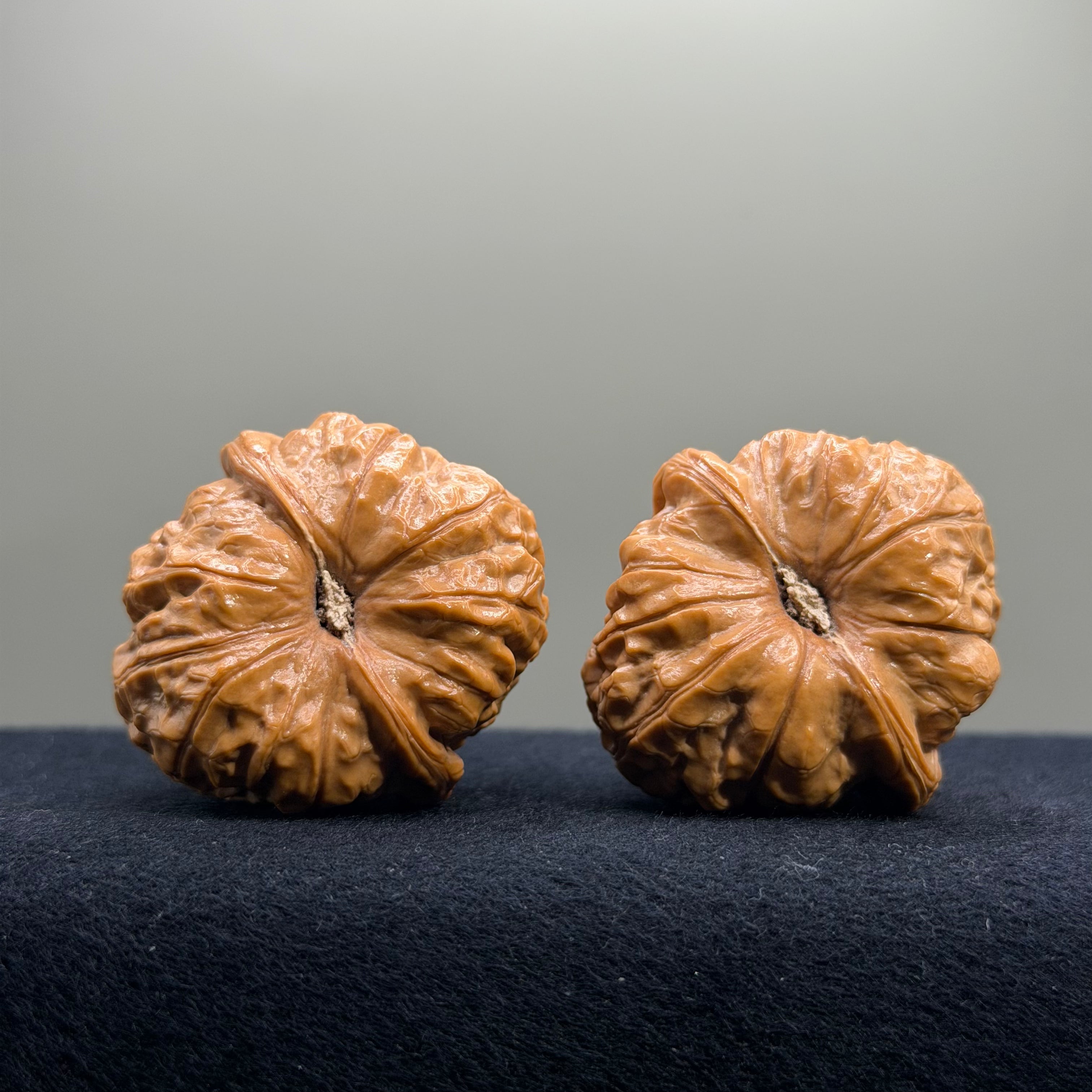 Pumpkin Wenwan Walnut · 40mm · Natural · Select Ritual