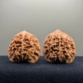 Starry Sky Wenwan Walnut · 41mm · Natural · Select Ritual