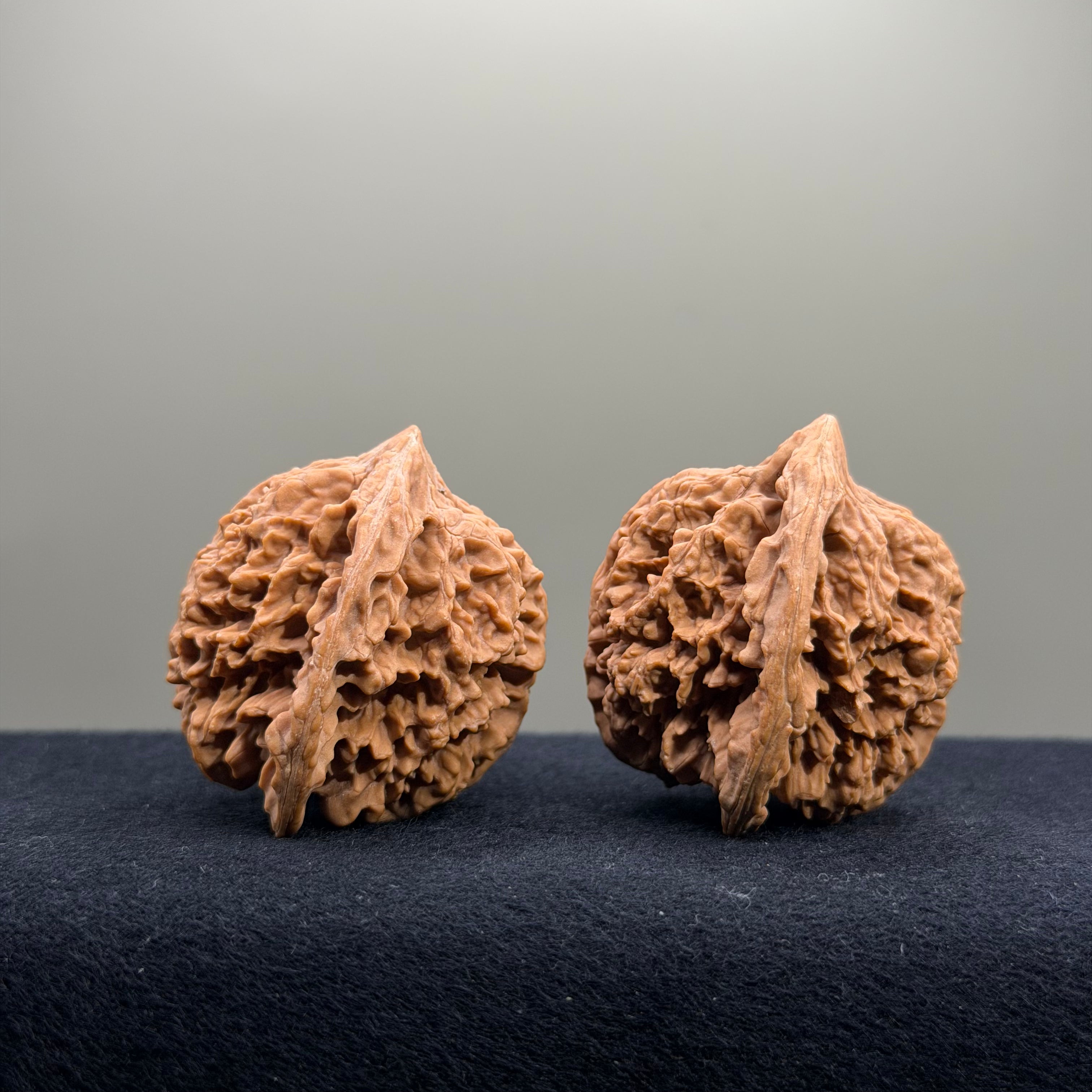 Starry Sky Wenwan Walnut · 41mm · Natural · Select Ritual