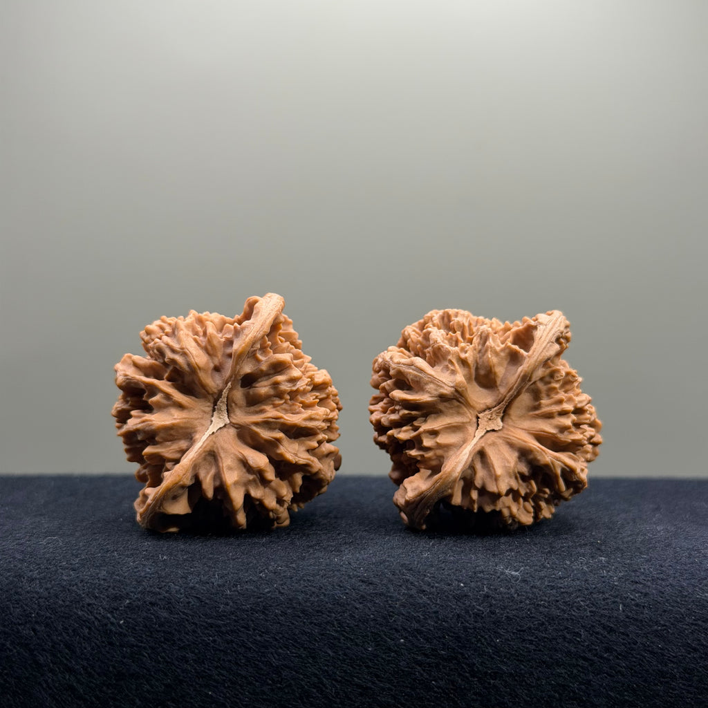 Starry Sky Wenwan Walnut · 41mm · Natural · Select Ritual