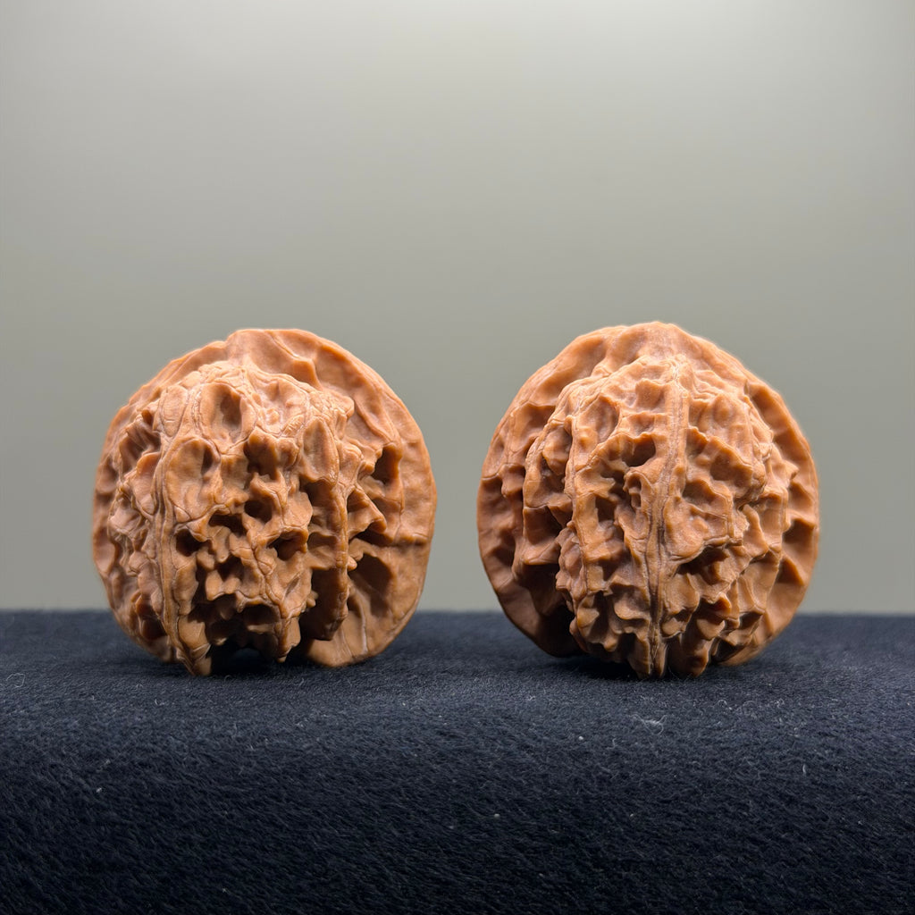 Apple Orchard Wenwan Walnut · 40mm · Natural · Select Ritual