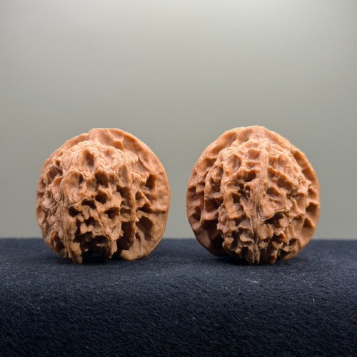 Apple Orchard Wenwan Walnut · 40mm · Natural · Select Ritual