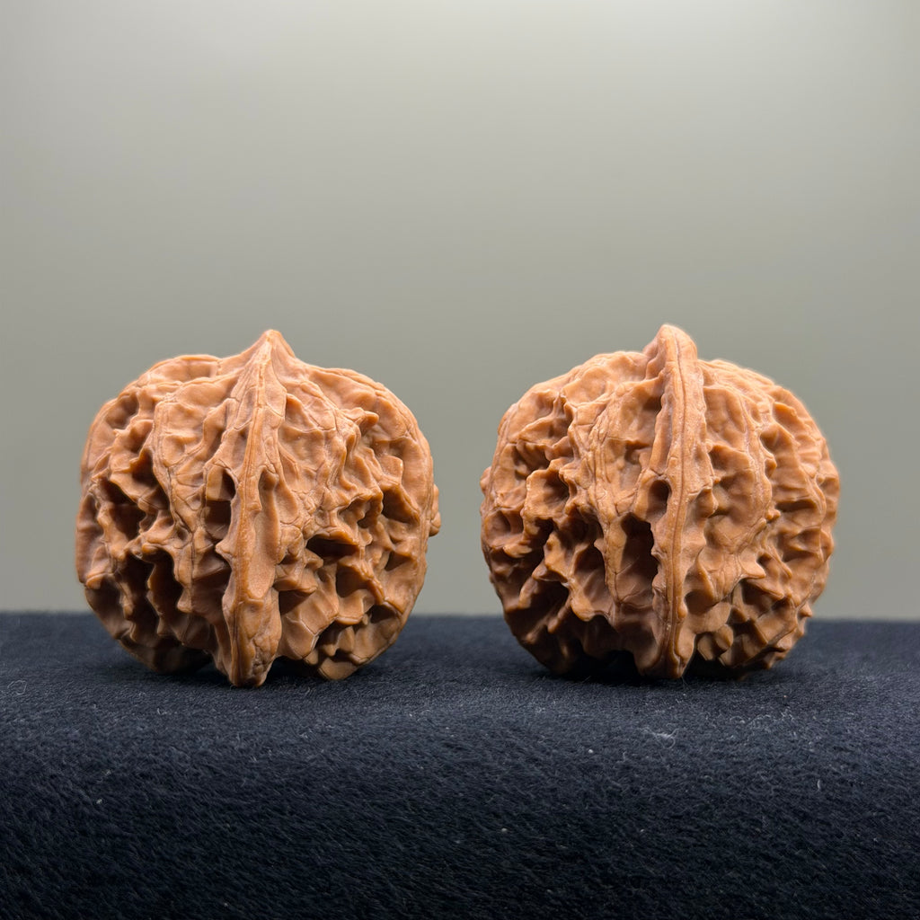 Apple Orchard Wenwan Walnut · 40mm · Natural · Select Ritual