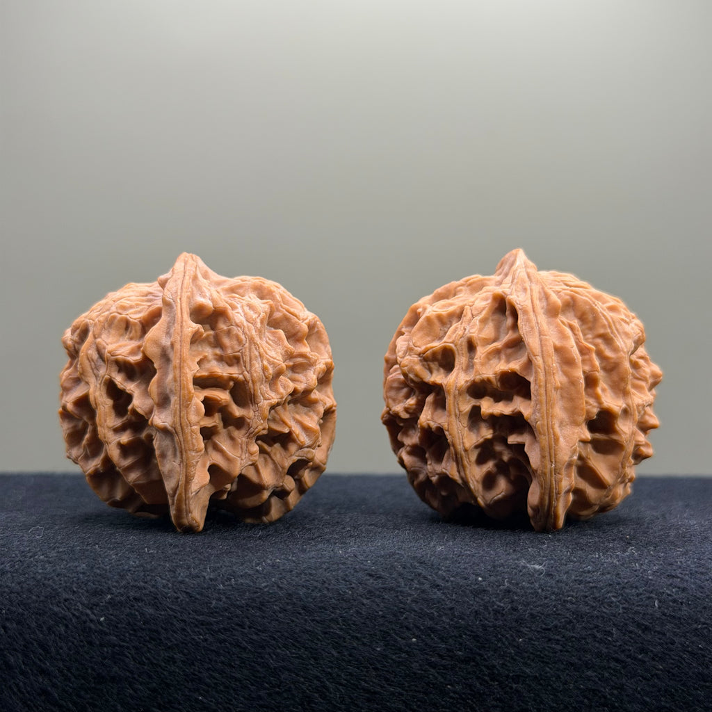 Apple Orchard Wenwan Walnut · 40mm · Natural · Select Ritual