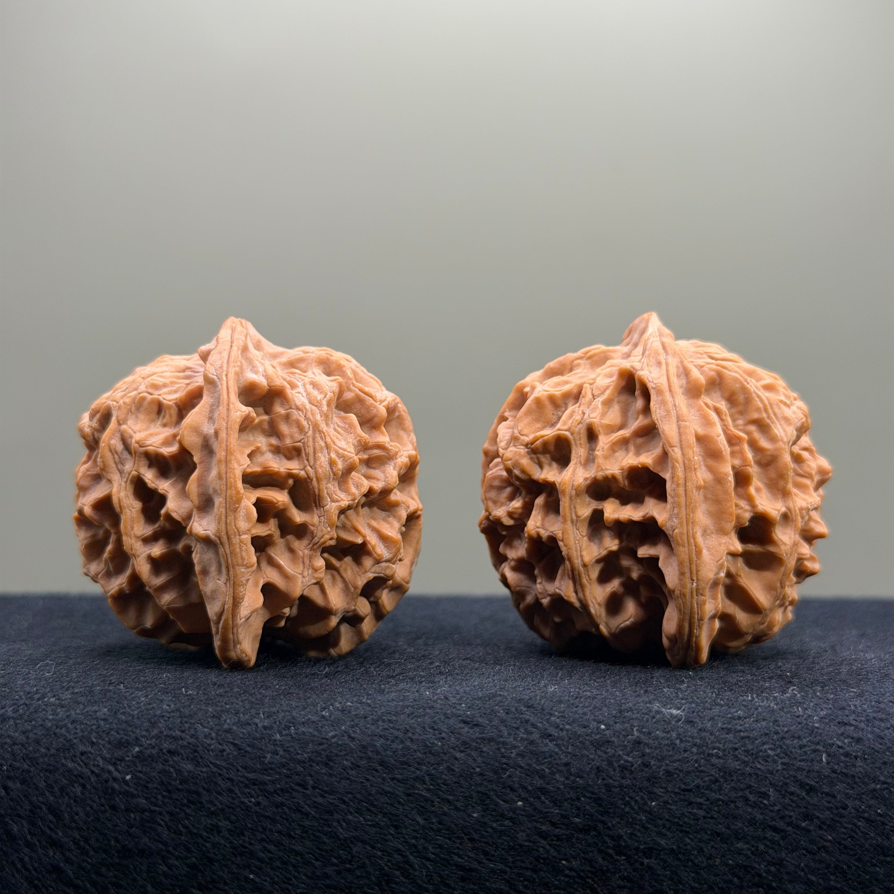 Apple Orchard Wenwan Walnut · 40mm · Natural · Select Ritual