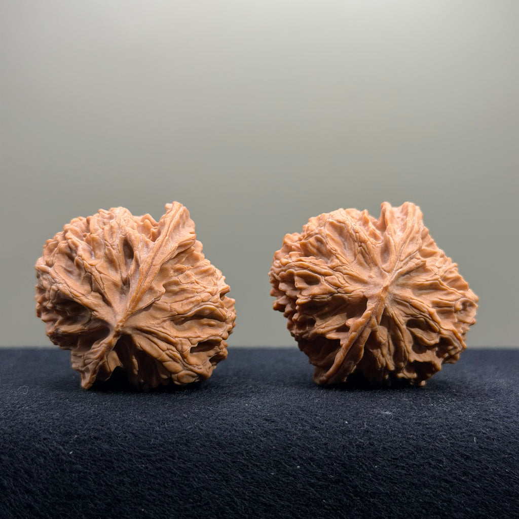 Apple Orchard Wenwan Walnut · 40mm · Natural · Select Ritual