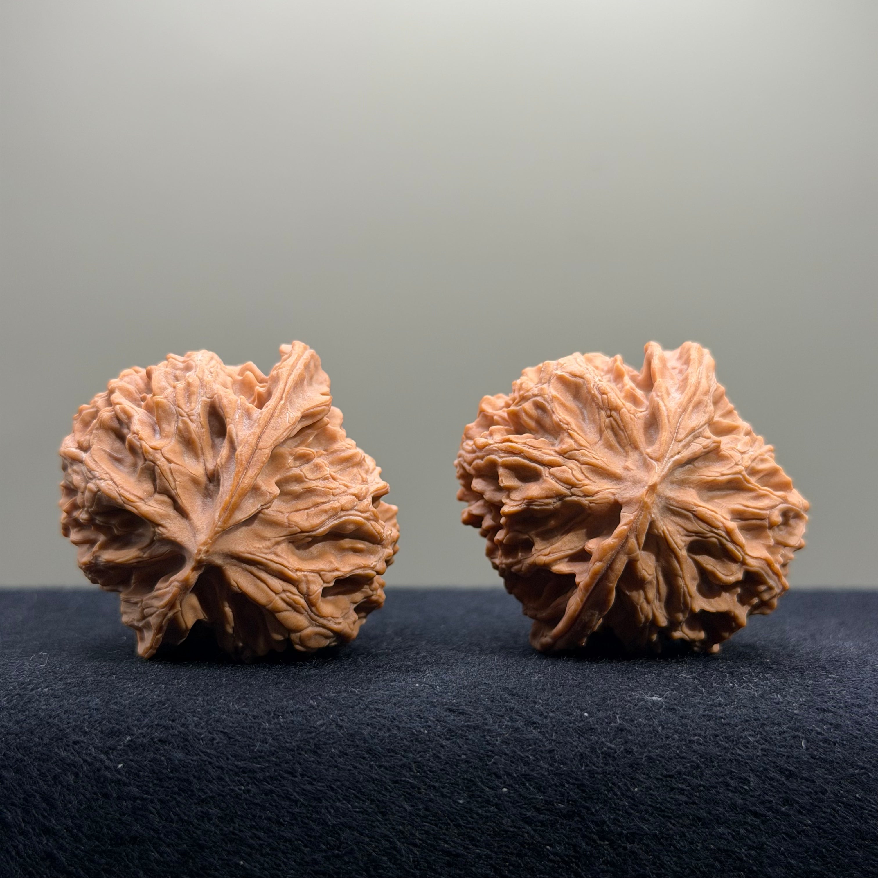 Apple Orchard Wenwan Walnut · 40mm · Natural · Select Ritual
