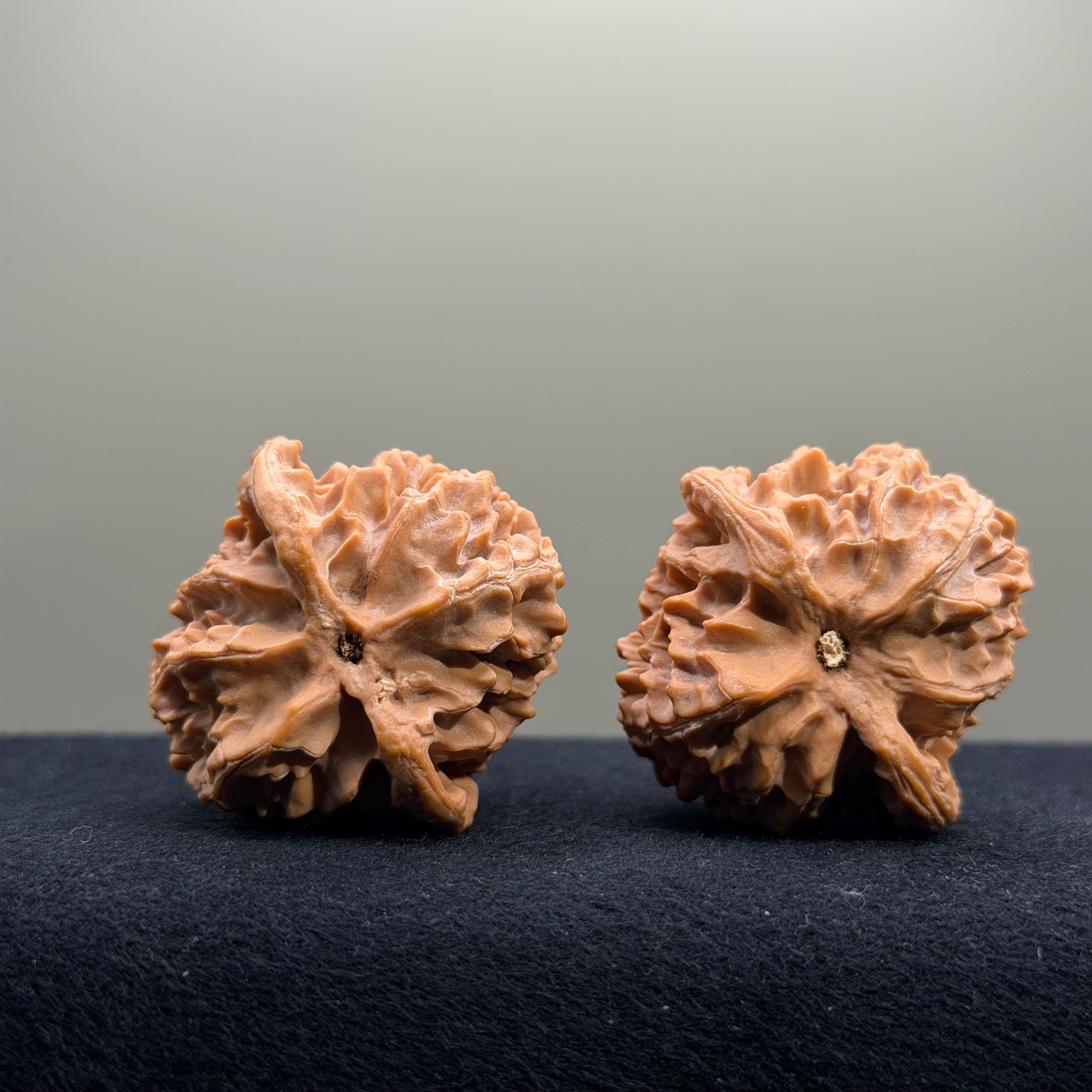 Apple Orchard Wenwan Walnut · 40mm · Natural · Select Ritual
