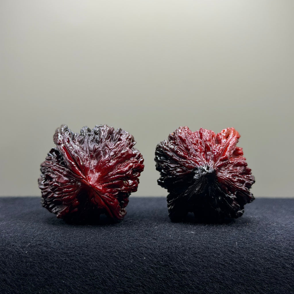 Ghost Rider · Tiger Head Ground Buried Wenwan Walnut · 40mm · Select Ritual