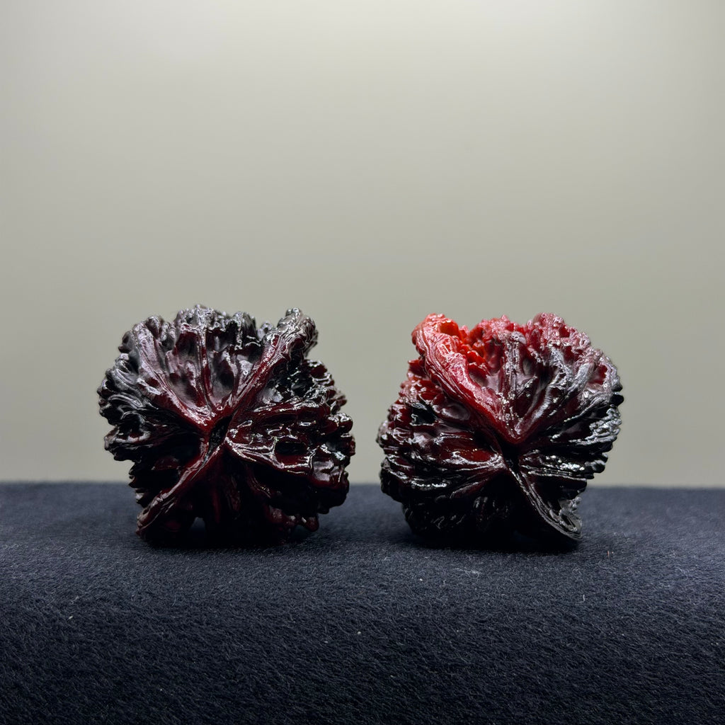 Ghost Rider · Tiger Head Ground Buried Wenwan Walnut · 40mm · Select Ritual