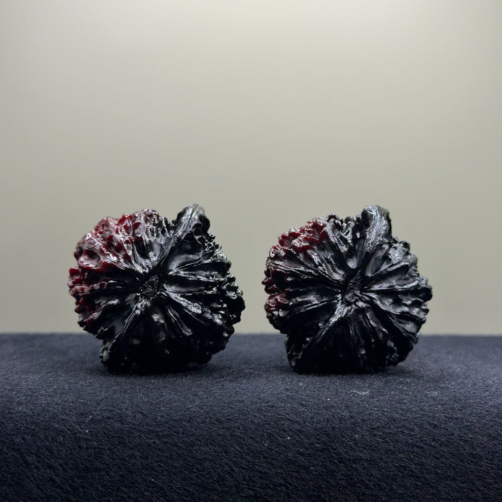 Ghost Rider · Palace Lantern Ground Buried Wenwan Walnut · 40mm · Premium Ritual