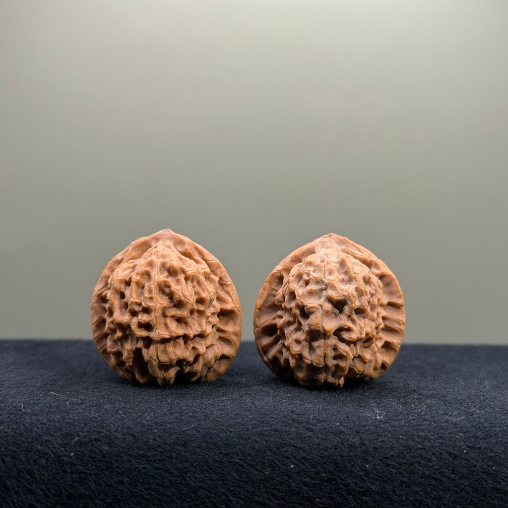 2026 New Harvest Season · Fish Scale Wenwan Walnut · 30mm · Natural · Entry Ritual