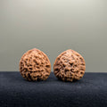 2026 New Harvest Season · Fish Scale Wenwan Walnut · 30mm · Natural · Entry Ritual