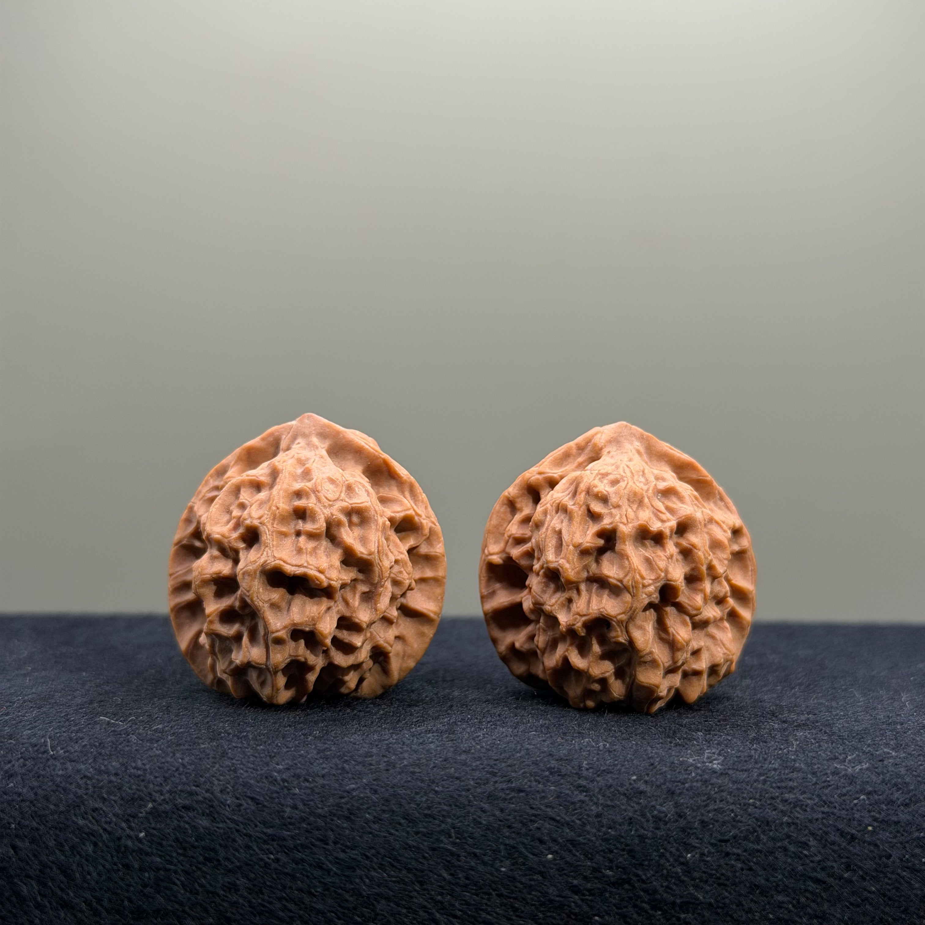 2026 New Harvest Season · Fish Scale Wenwan Walnut · 30mm · Natural · Entry Ritual