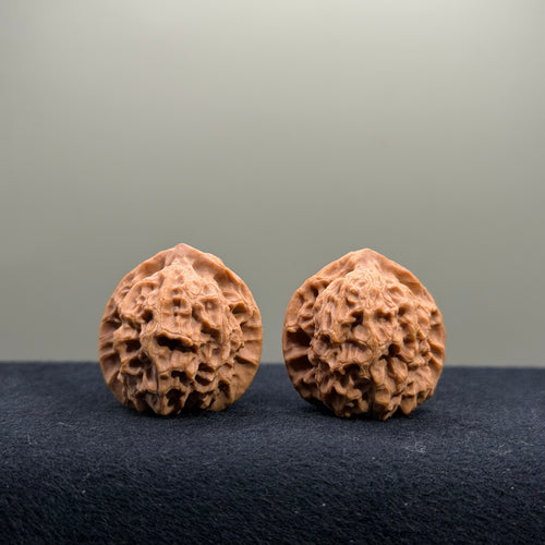 2026 New Harvest Season · Fish Scale Wenwan Walnut · 30mm · Natural · Entry Ritual