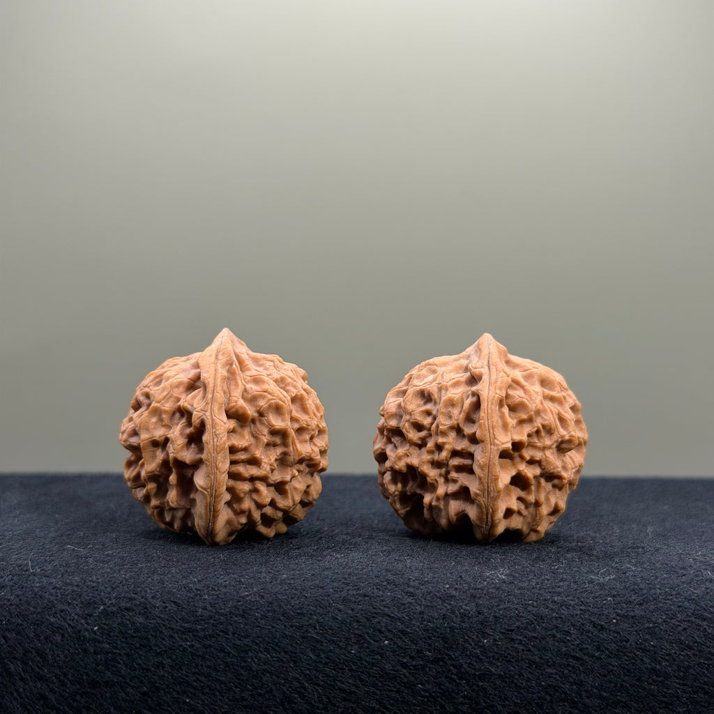2026 New Harvest Season · Fish Scale Wenwan Walnut · 30mm · Natural · Entry Ritual