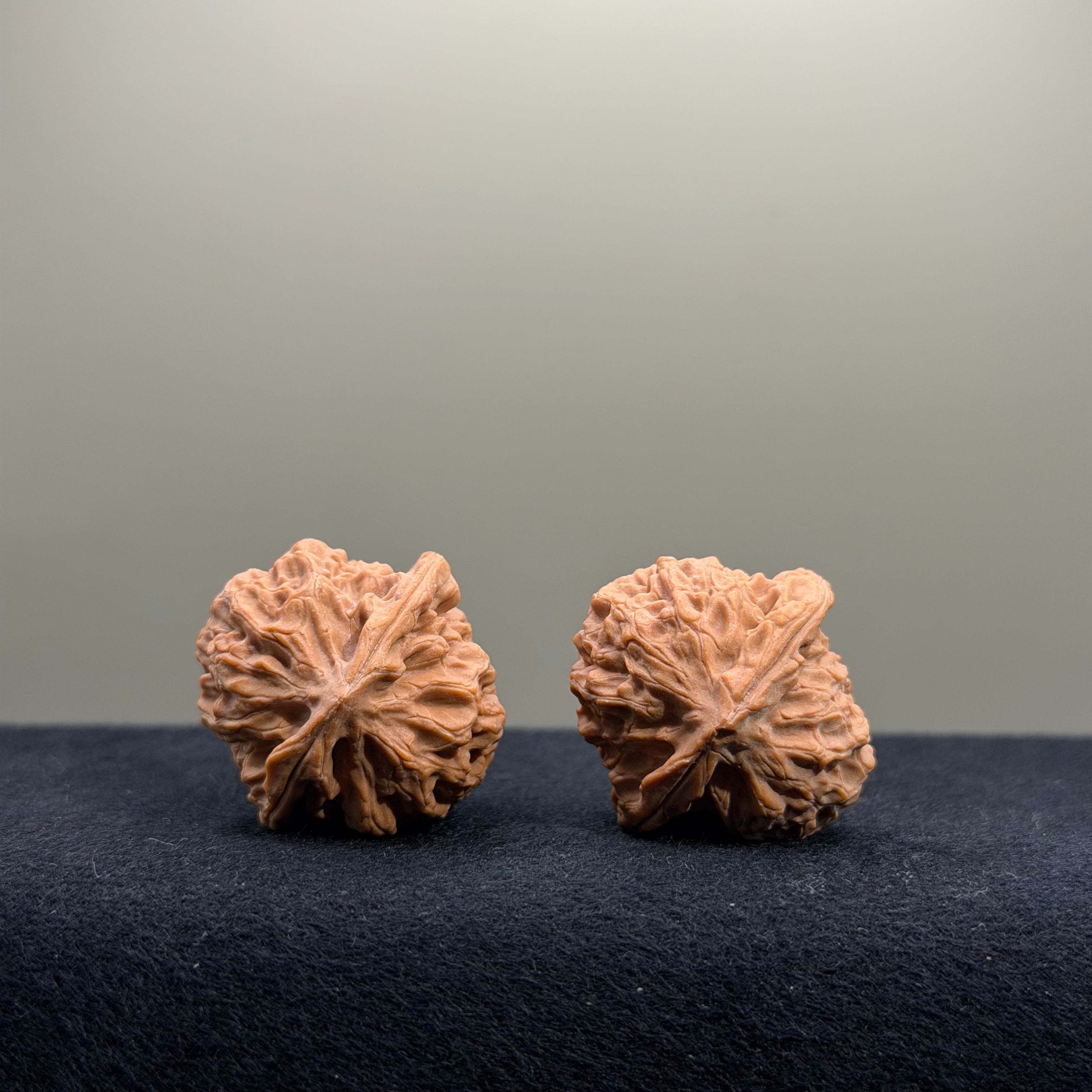 2026 New Harvest Season · Fish Scale Wenwan Walnut · 30mm · Natural · Entry Ritual