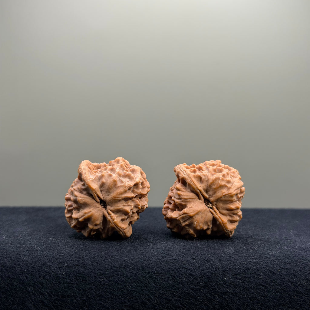 2026 New Harvest Season · Fish Scale Wenwan Walnut · 30mm · Natural · Entry Ritual