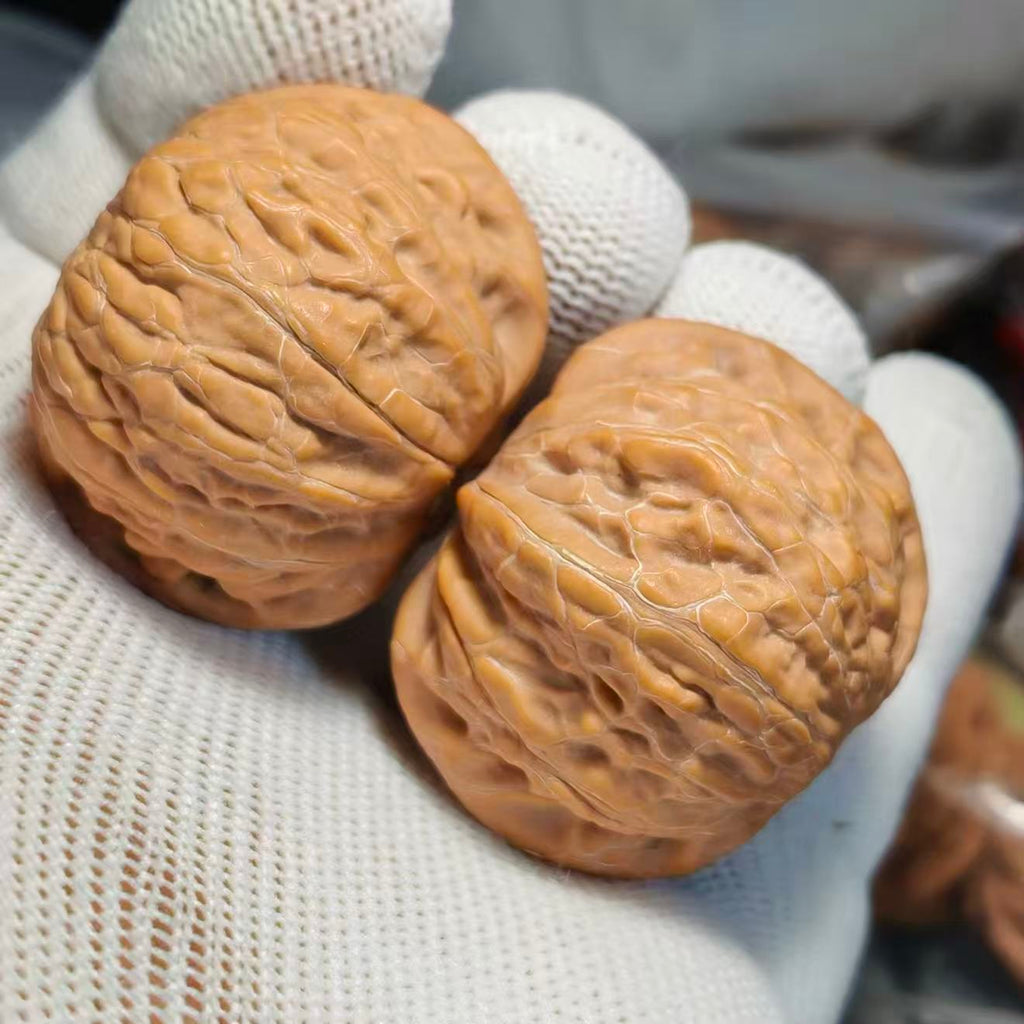 Hammer Wenwan Walnut · 40mm · Natural · Sourcing Pick