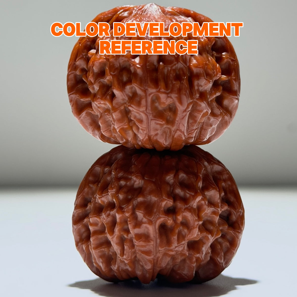 Millstone Wenwan Walnut  · 41mm · Natural · Premium Ritual