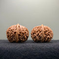 Taihang Ingot Wenwan Walnut · 39mm · Select Ritual