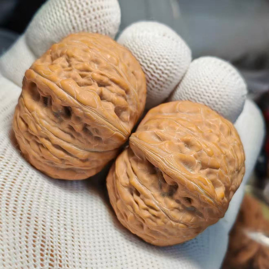 Hammer Wenwan Walnut · 40mm · Natural · Sourcing Pick