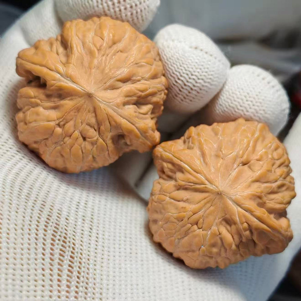 Hammer Wenwan Walnut · 40mm · Natural · Sourcing Pick