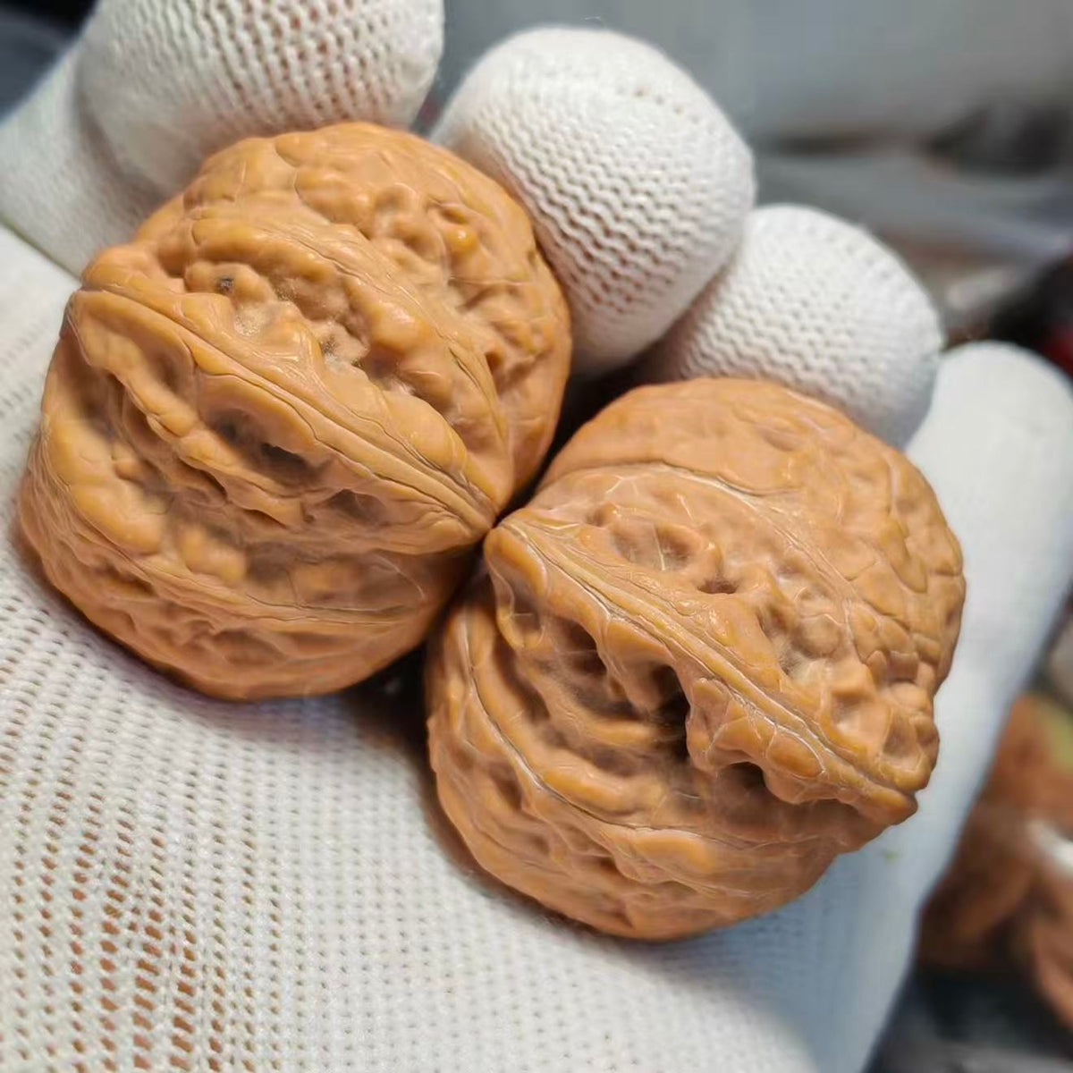Hammer Wenwan Walnut · 40mm · Natural · Sourcing Pick
