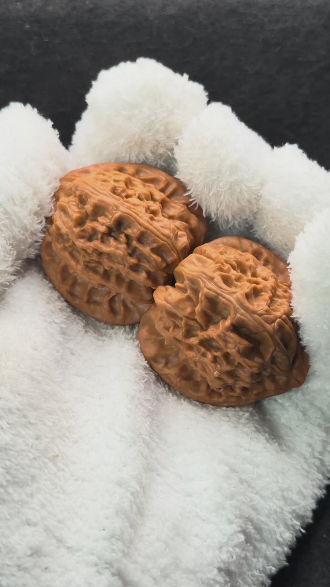 Triangle White Lion Wenwan Walnut · 38mm · Natural · Select Ritual