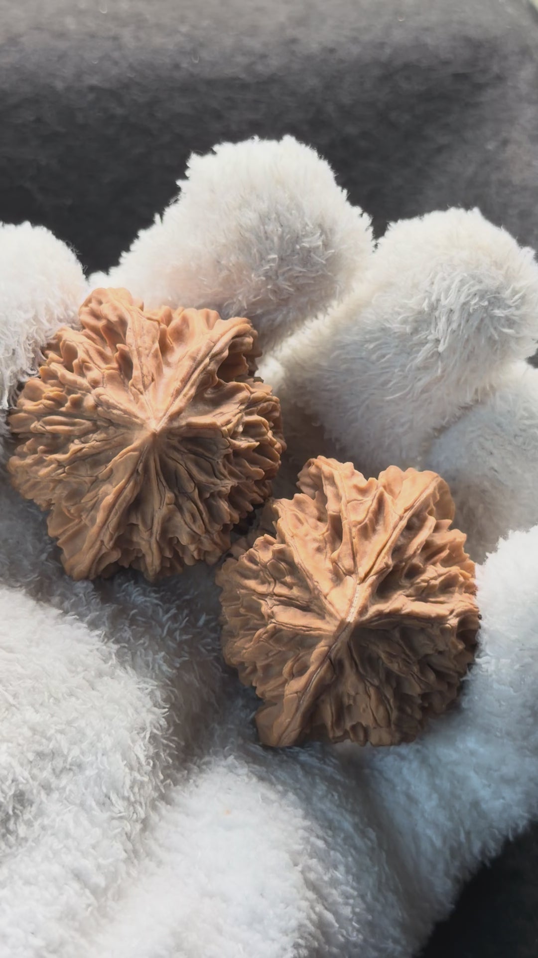 Three-Rib （Y shape) Wenwan Walnut · 43mm · Natural · Entry Ritual