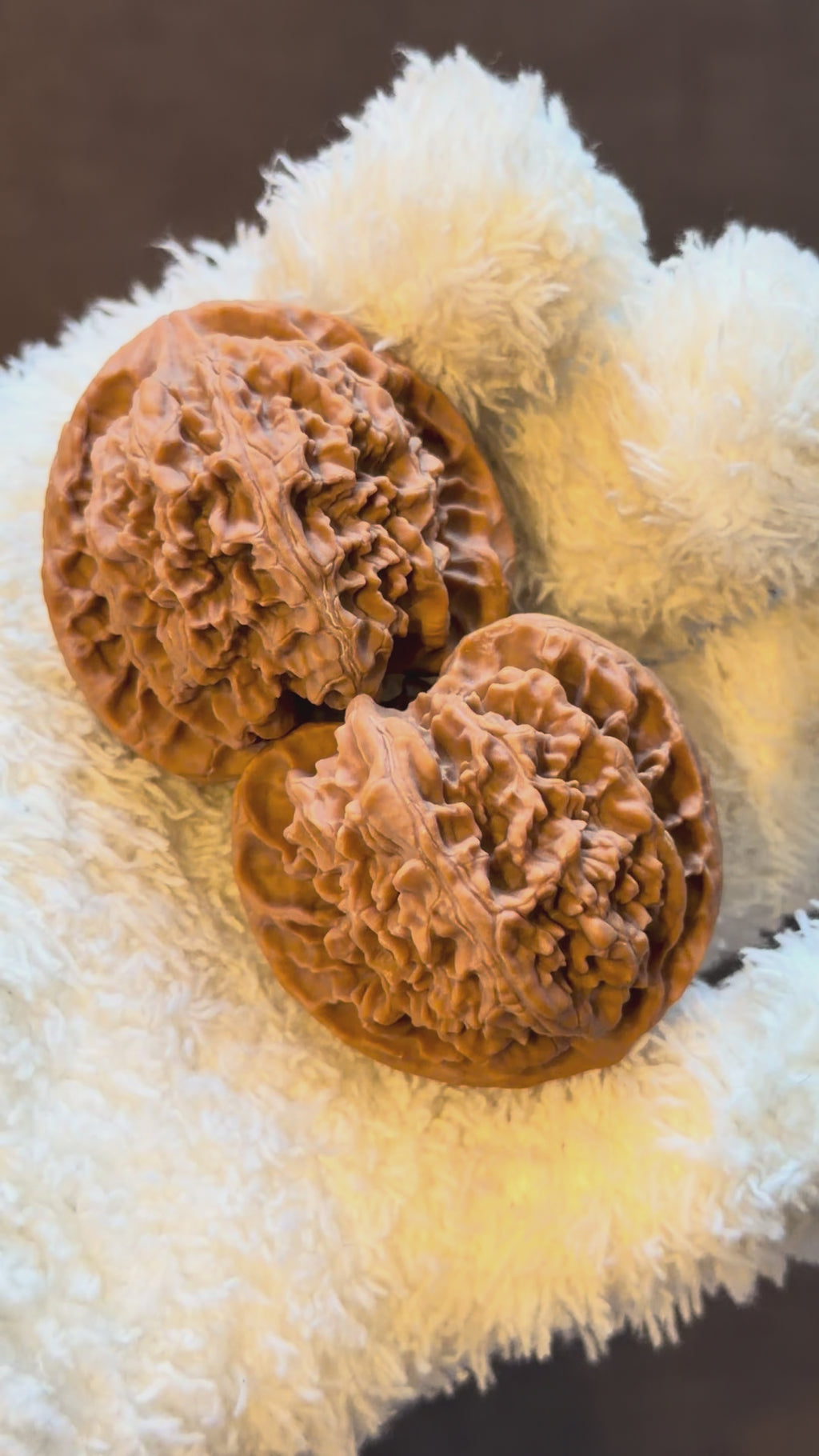 Apple Orchard Wenwan Walnut
