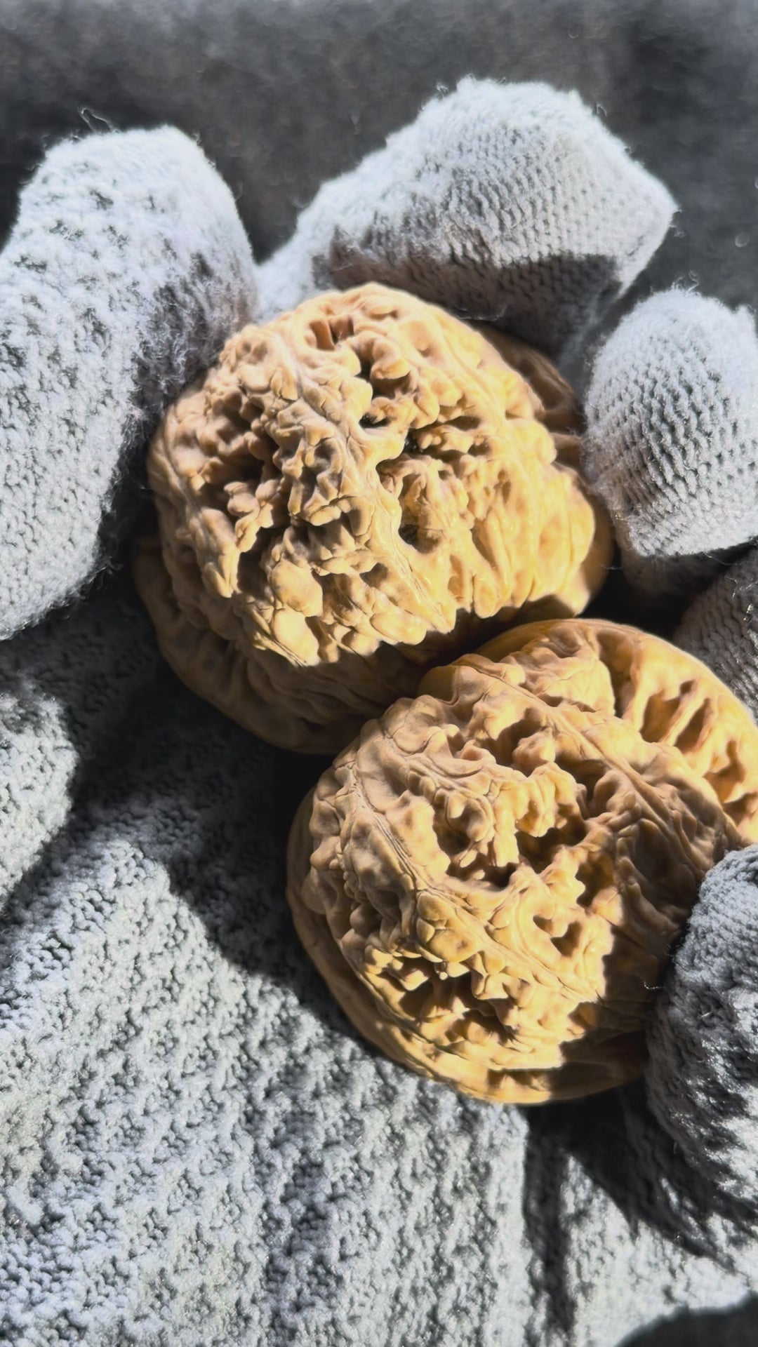 Thick Ribs Wenwan Walnut · 44mm · Natural · Entry Ritual
