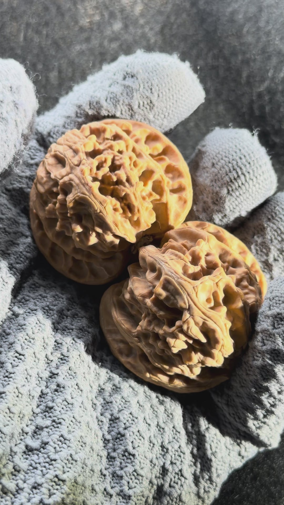 Giant Apple Orchard Wenwan Walnut · 44mm · Natural · Premium Ritual