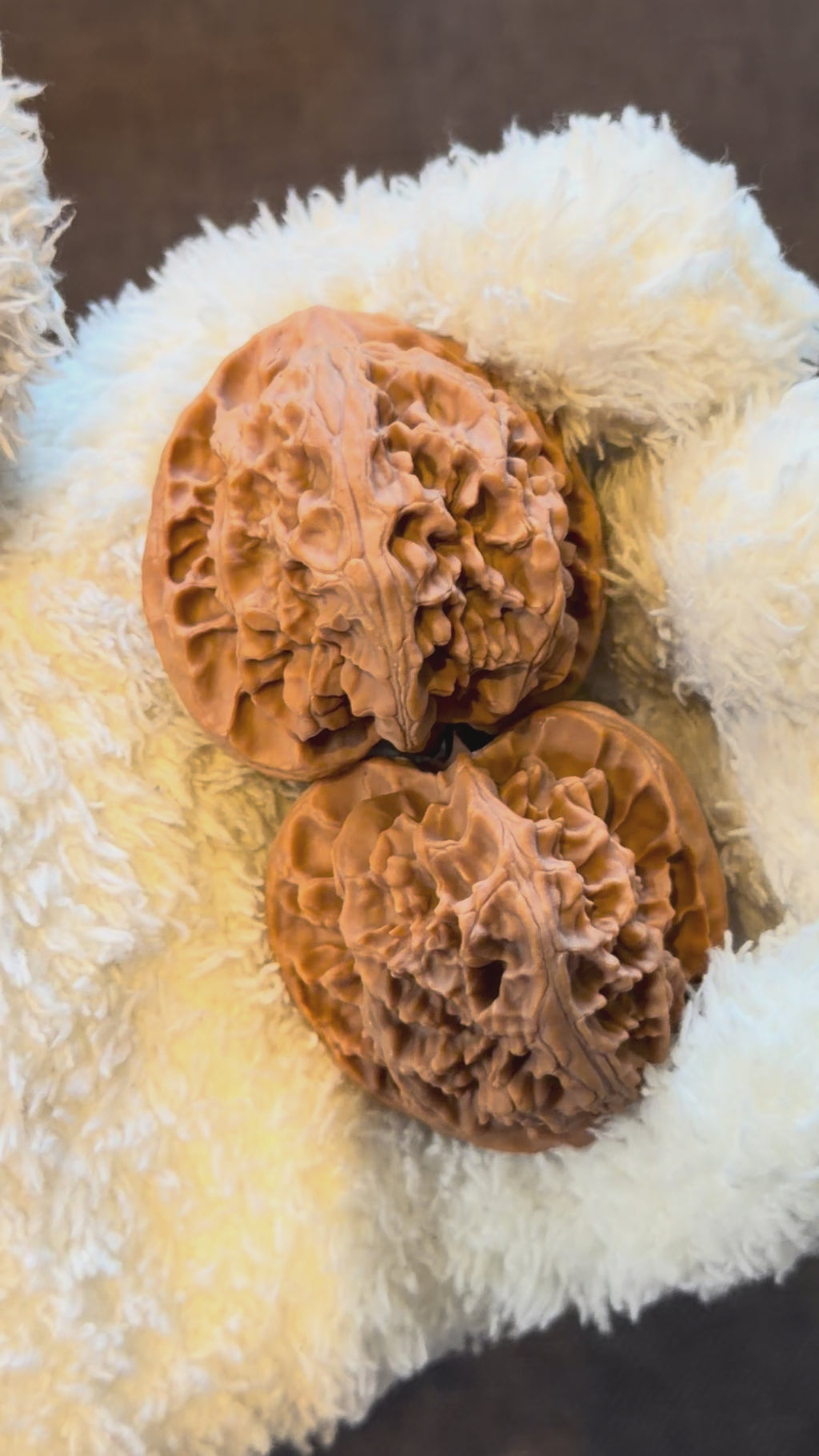 Apple Orchard Wenwan Walnut · 40mm · Natural · Select Ritual