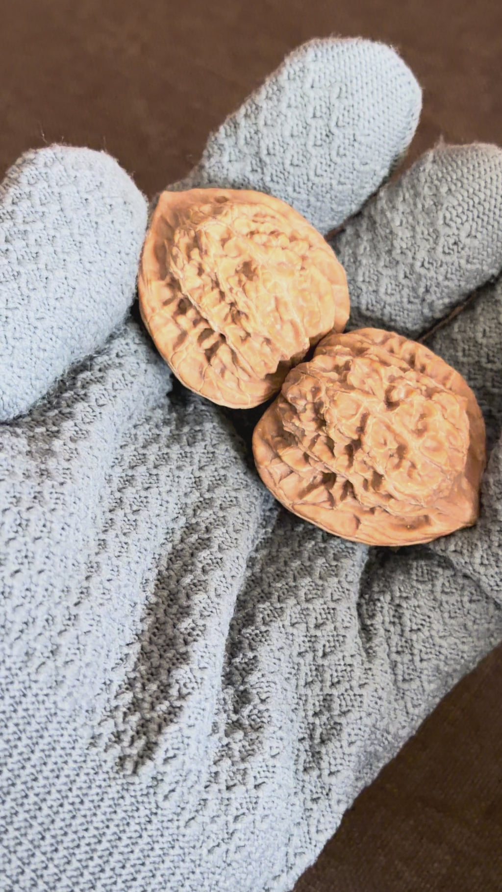 Moon Gazing Wenwan Walnut · 37mm · Natural · Select Ritual