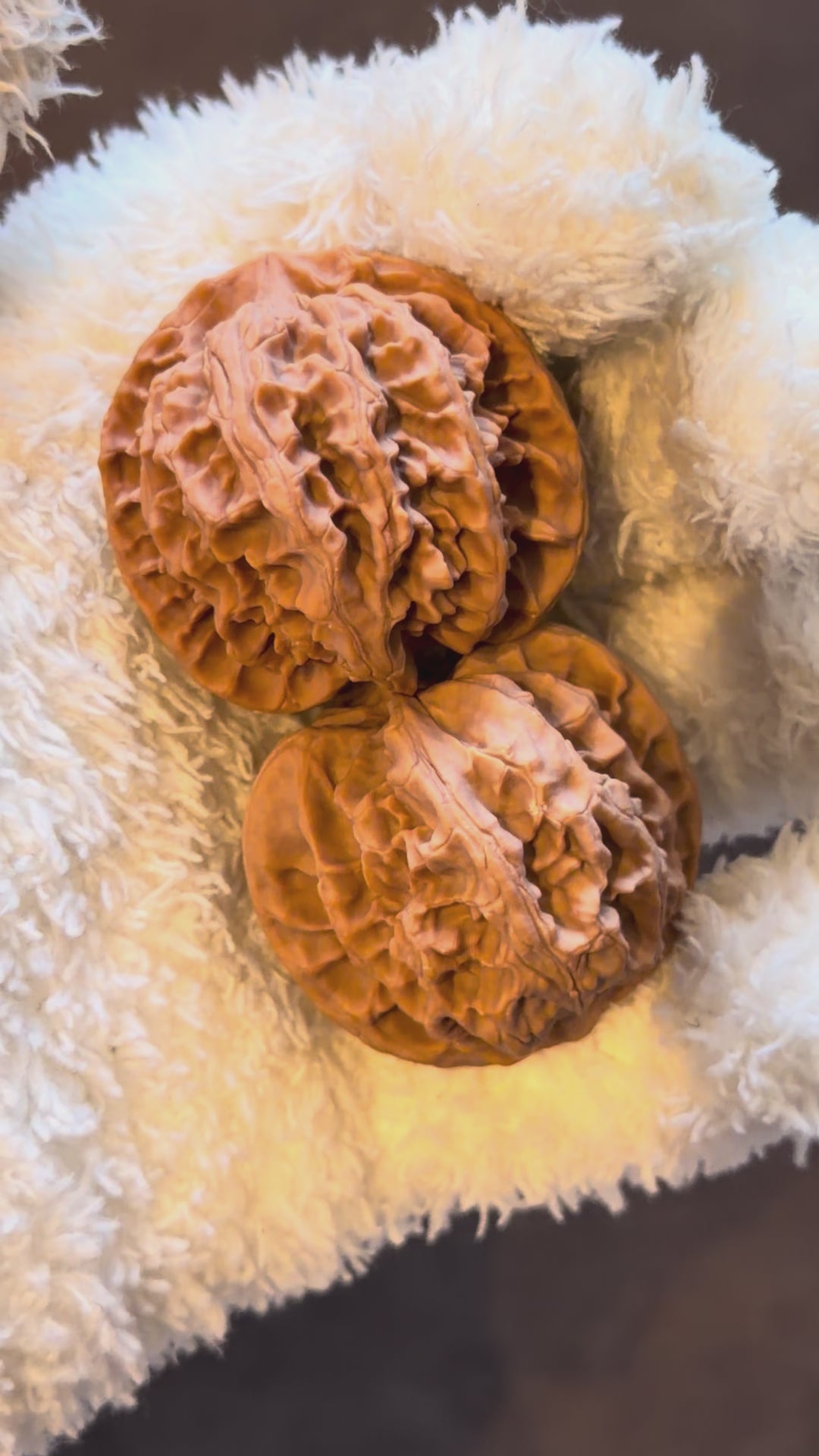 Apple Orchard Wenwan Walnut