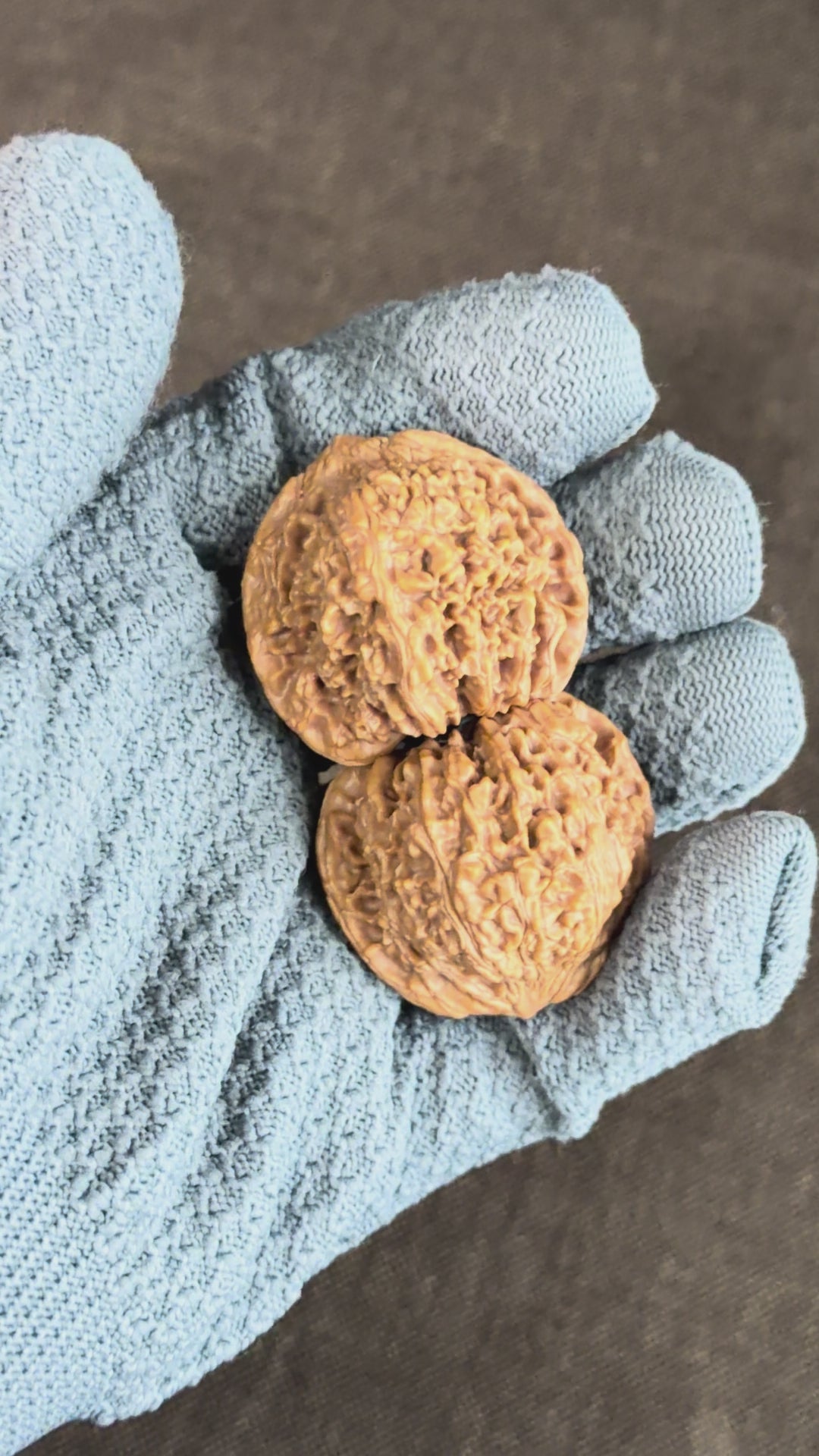 Starry Sky Lion Head Wenwan Walnut