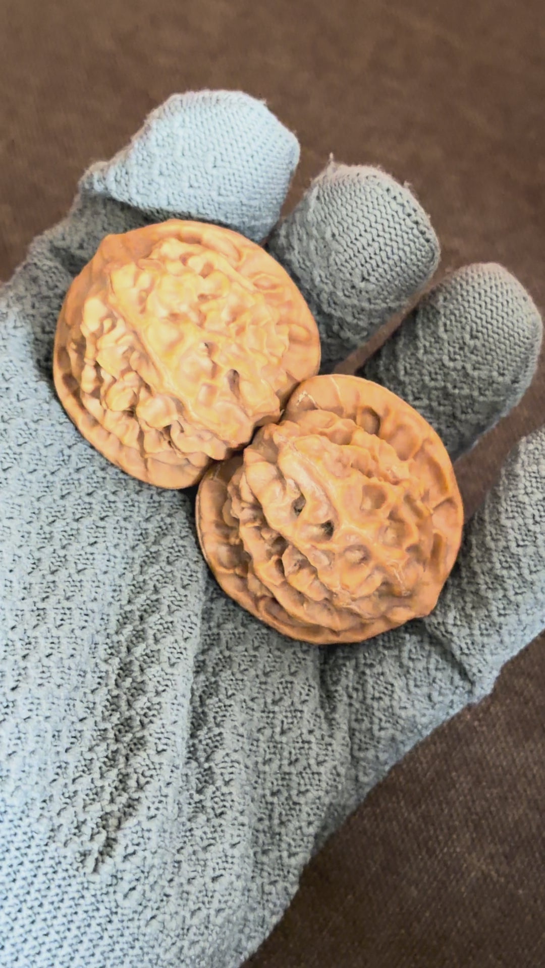 Dragon Scale Wenwan Walnut · 41mm · Natural · Collector Ritual