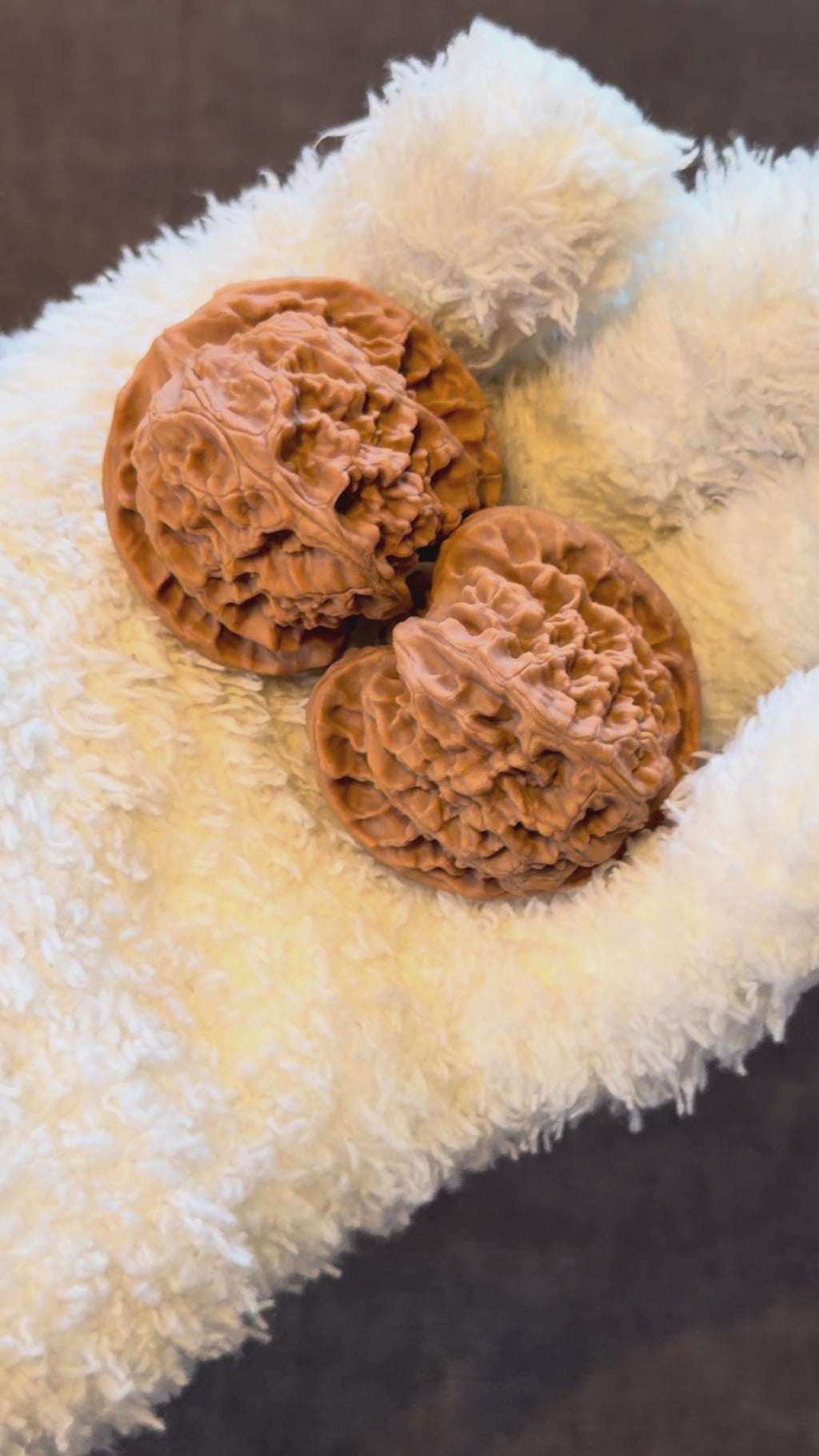 Apple Orchard Wenwan Walnut · 39mm · Natural · Select Ritual