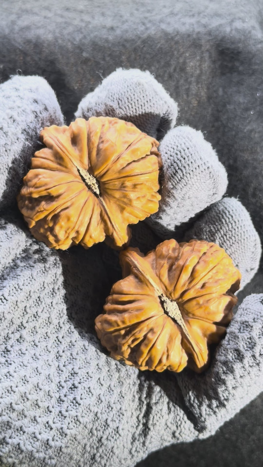 Giant Pumpkin Wenwan Walnut · 44mm · Natural · Select Ritual