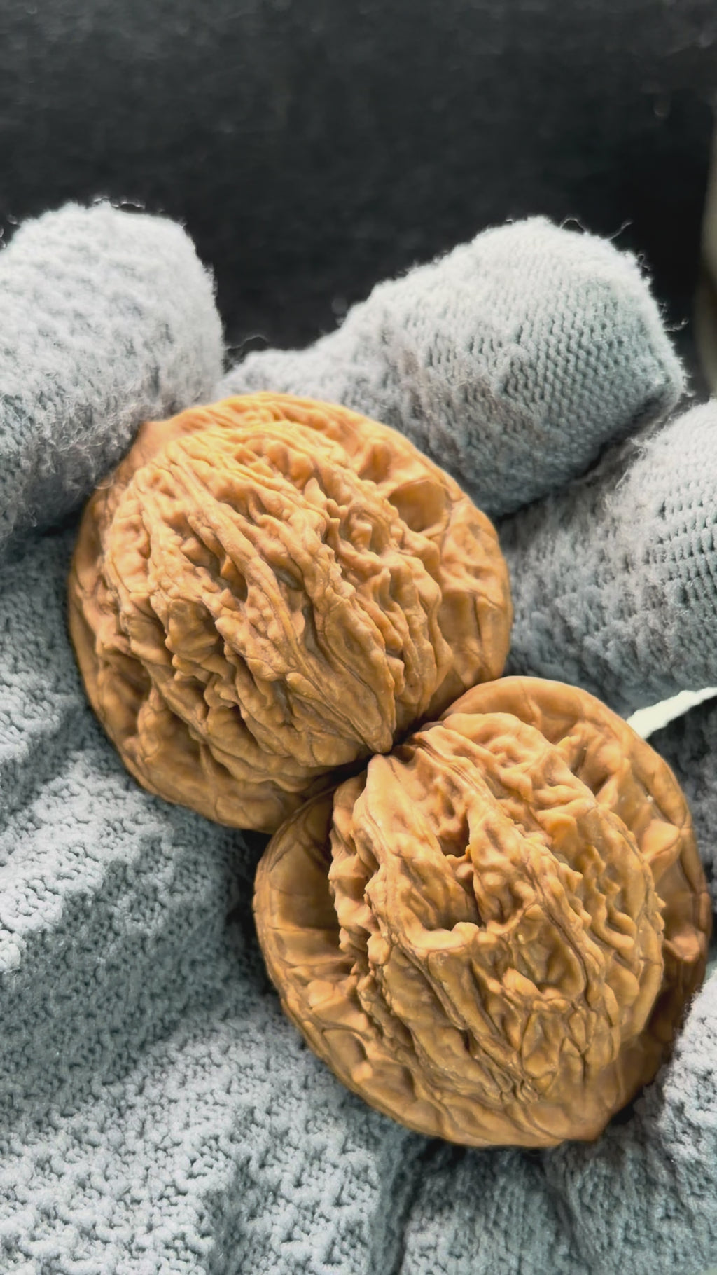 Wheat Ear Tiger Head Wenwan Walnut · 41mm · Natural · Entry Ritual