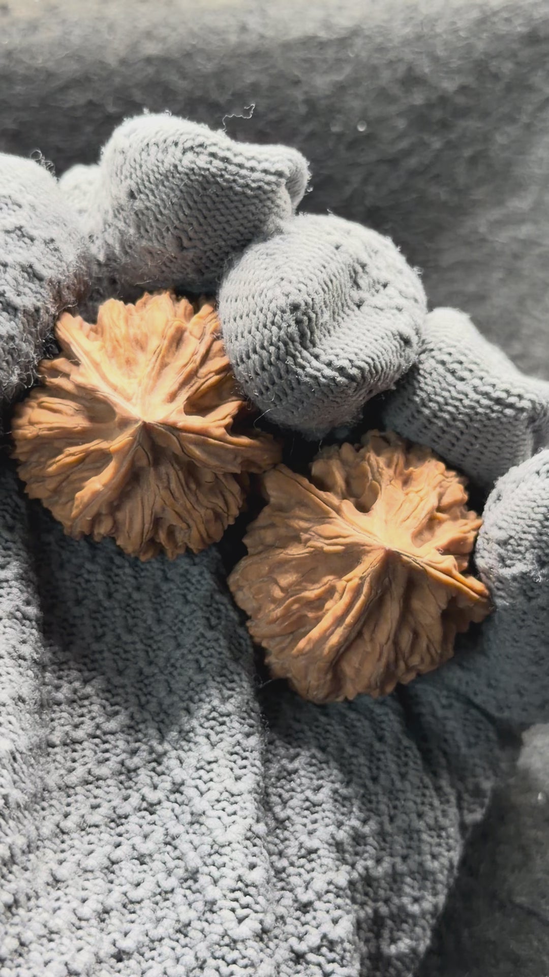 Three-Rib Wenwan Walnut · 34mm · Natural · Entry Ritual