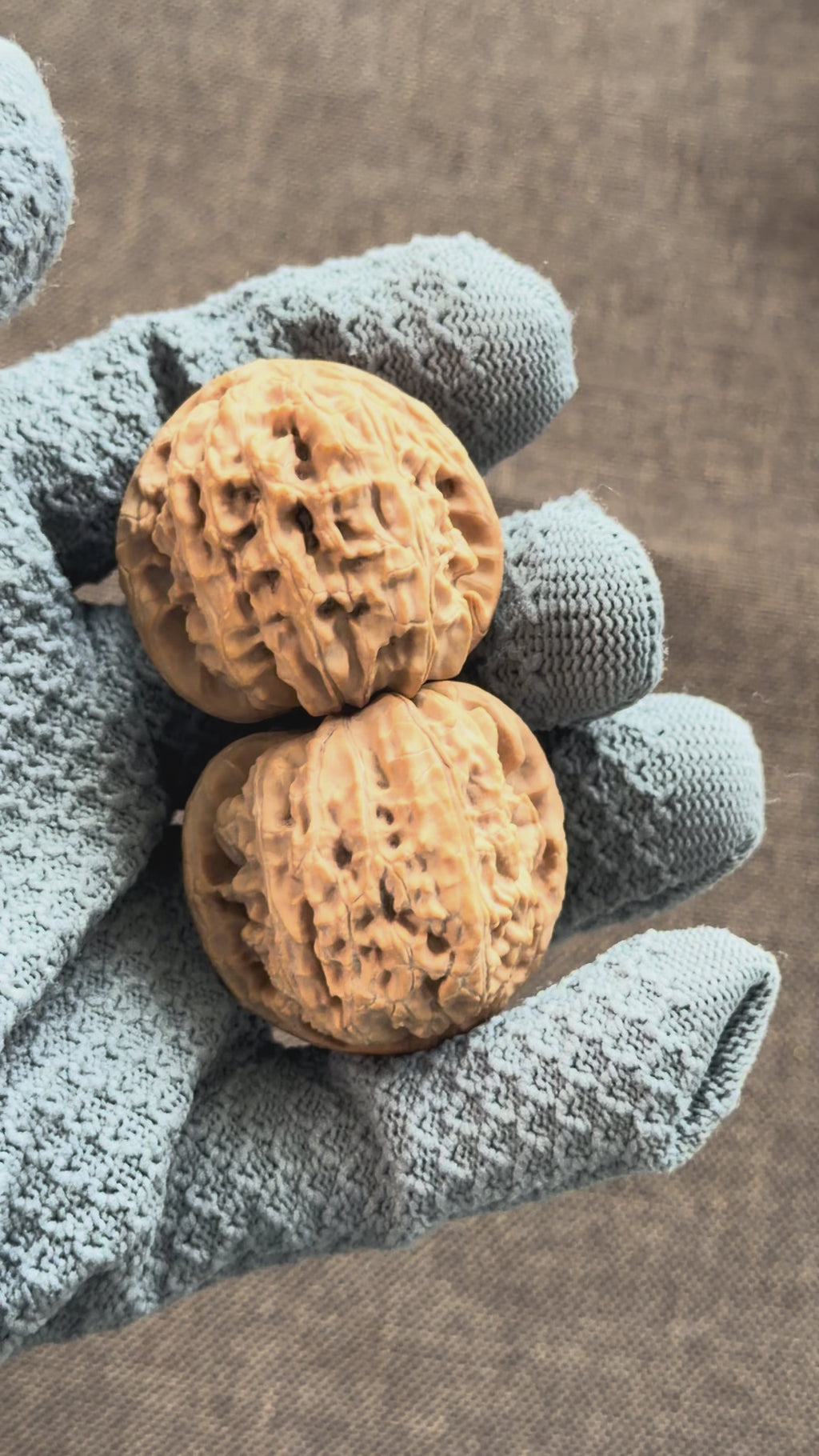 White Lion Head Wenwan Walnut