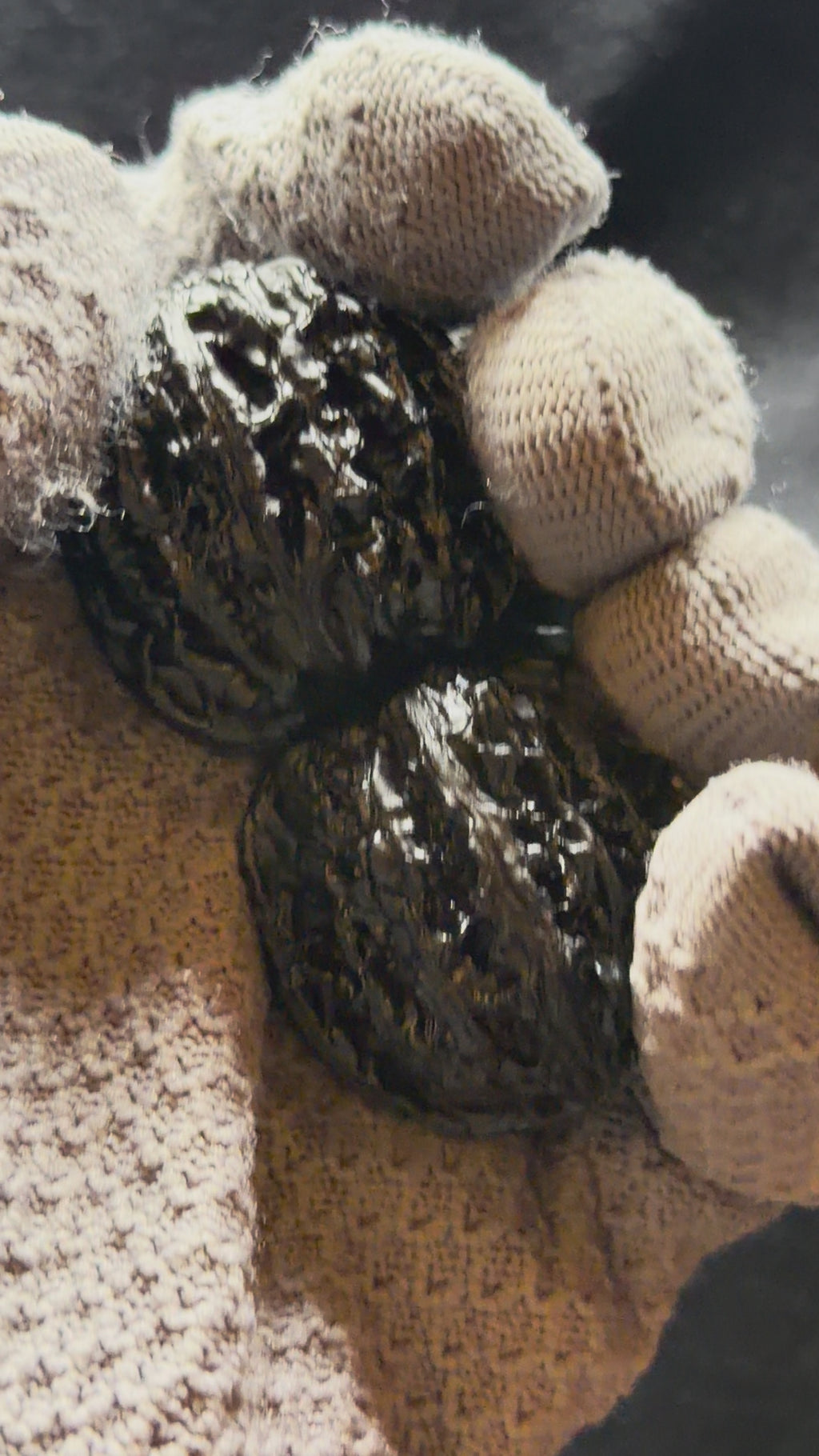 Ground Buried Four Towers Wenwan Walnut · 37mm · Select Ritual