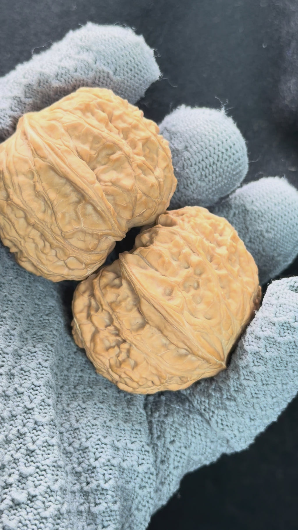 Overlord Cauldron Wenwan Walnut  · 40mm · Natural · Premium Ritual