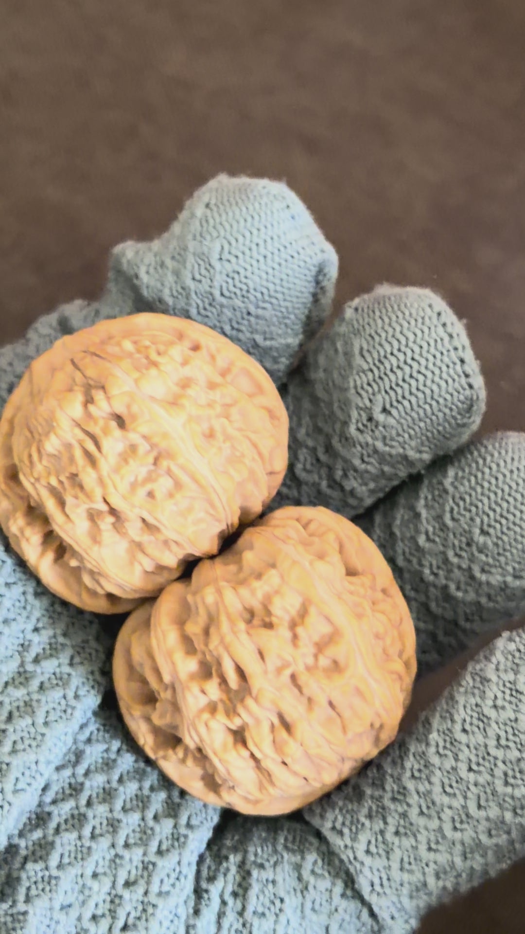 White Lion Wenwan Walnut · 40mm · Natural · Select Ritual
