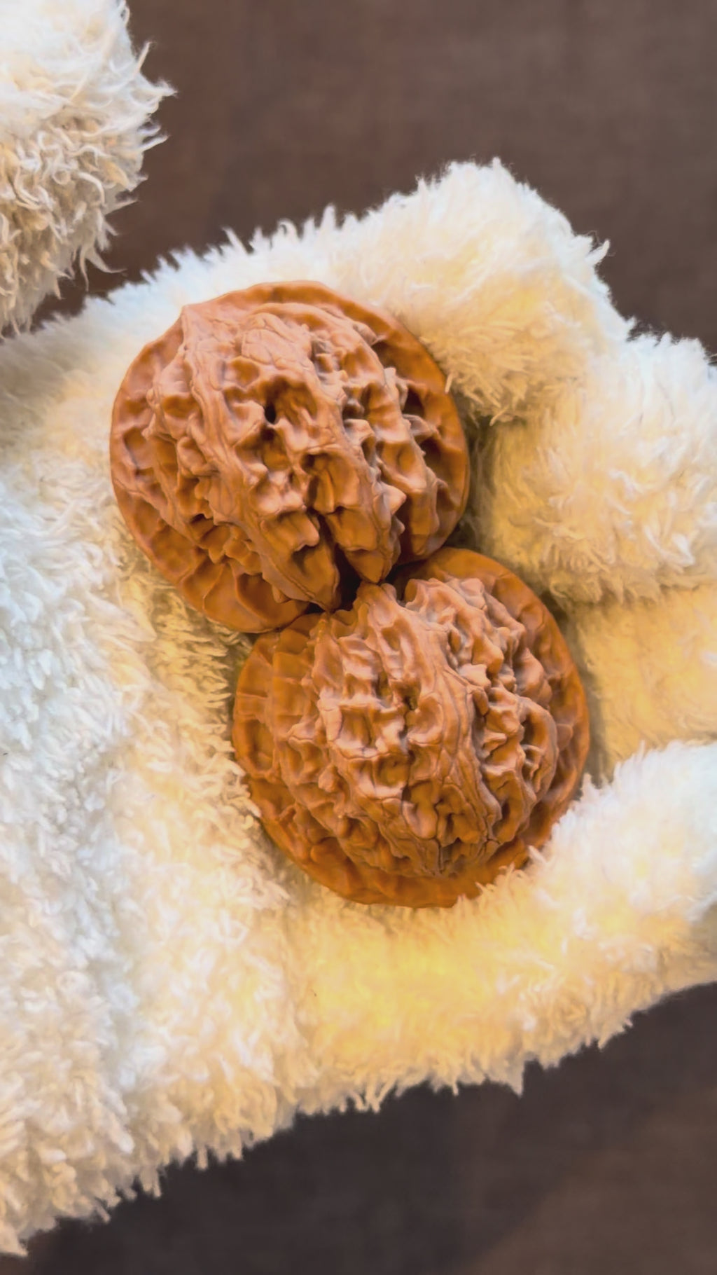 Apple Orchard Wenwan Walnut · 40mm · Natural · Select Ritual