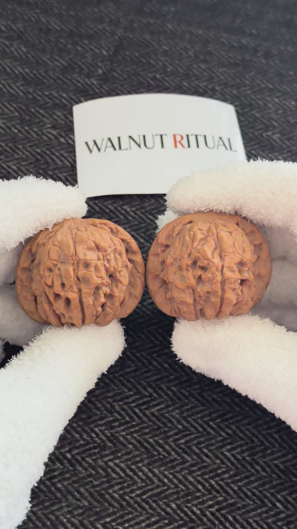 Dragon Cauldron Wenwan Walnut · 50mm · Natural · Collector Ritual